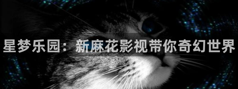 电影泡泡影视：星梦乐园：新麻花影视带你奇幻世界