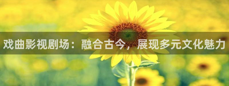 泡泡酒店：戏曲影视剧场：融合古今，展现多元文化魅力