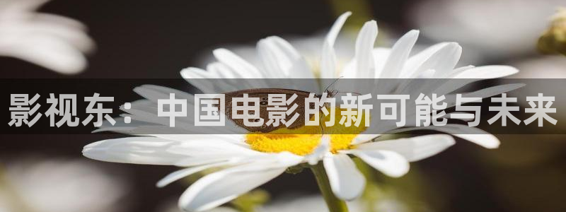 泡泡影视在线观看网页版登录：影视东：中国电影的新可能与未来