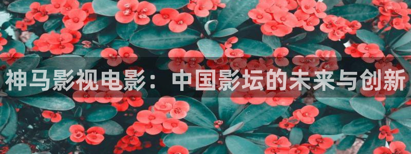 泡泡影视 伦理：神马影视电影：中国影坛的未来与创新