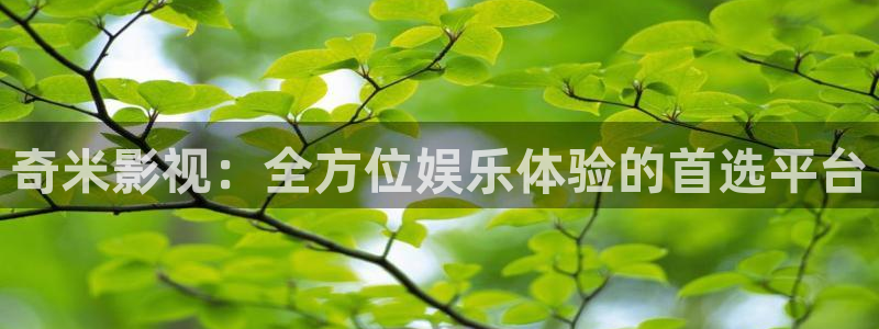 泡泡影院免费观看：奇米影视：全方位娱乐体验的首选平台