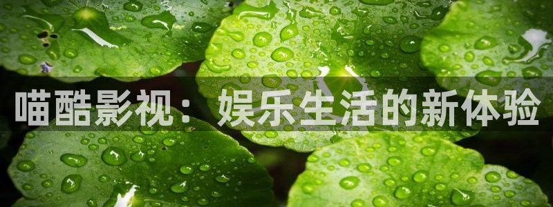 泡泡理论影视：喵酷影视：娱乐生活的新体验