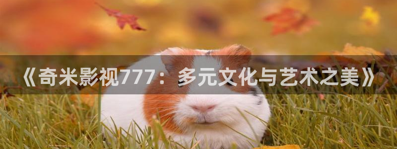 泡泡图片：《奇米影视777：多元文化与艺术之美》
