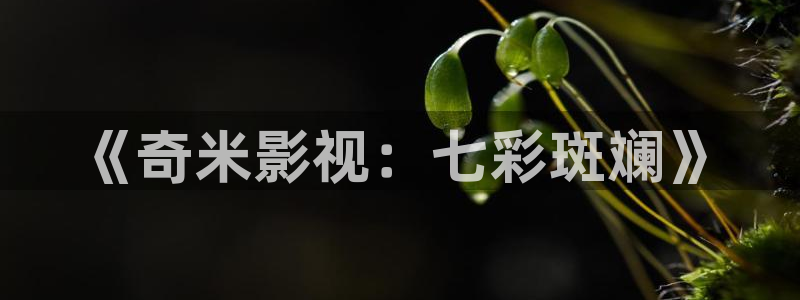 泡泡影视好看的国产剧：《奇米影视：七彩斑斓》