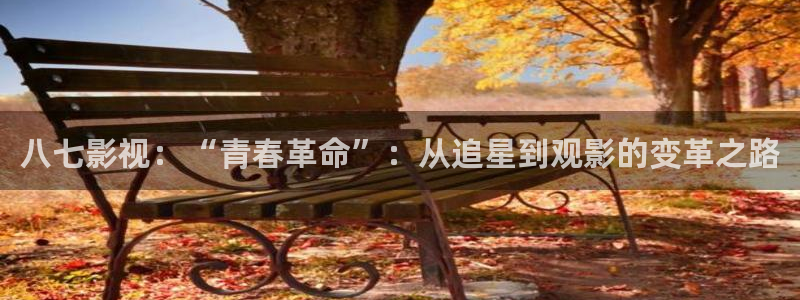 泡泡网电影：八七影视：“青春革命”：从追星到观影的变革之路