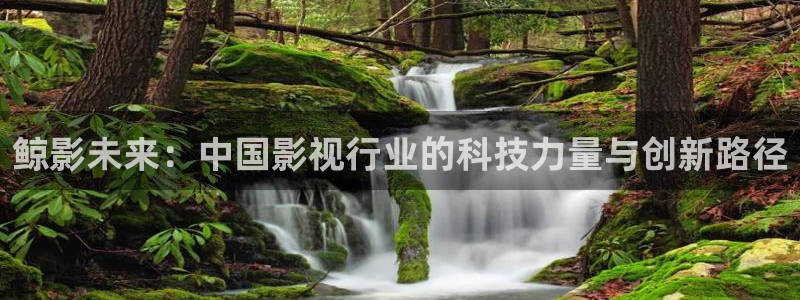 泡泡影视手机电影网在线观看：鲸影未来：中国影视行业的科技力量与创新路径