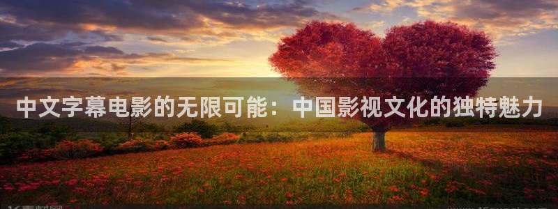 泡泡片：中文字幕电影的无限可能：中国影视文化的独特魅力