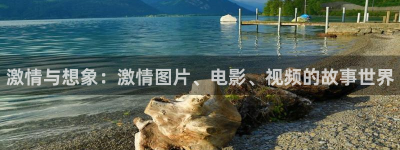 忍者神龟泡泡影视：激情与想象：激情图片、电影、视频的故事世界