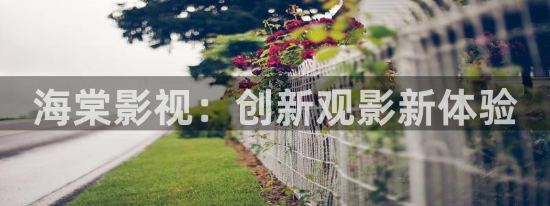 泡泡影视化理片：海棠影视：创新观影新体验