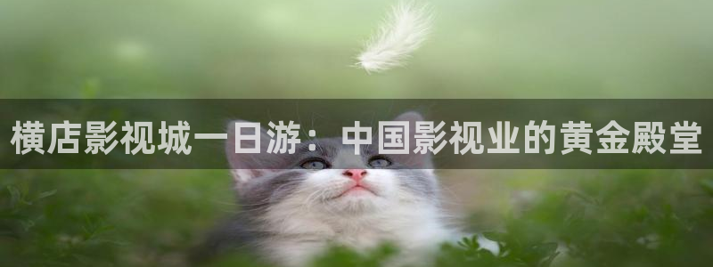 蓝泡泡视频下载：横店影视城一日游：中国影视业的黄金殿堂